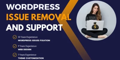 Fixing WordPress Issues, Modify Theme or WordPress Design